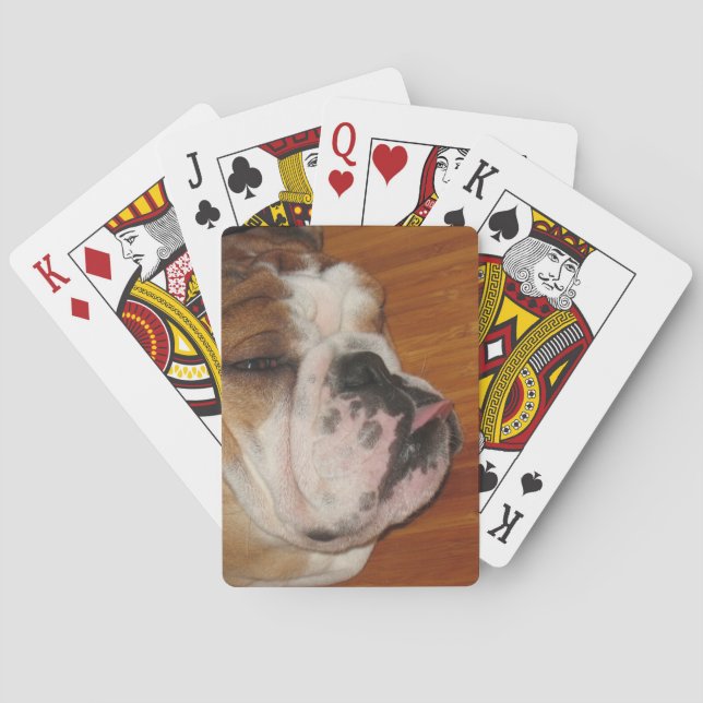 English bull dog deck of playing cards (Back)