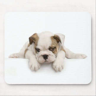 English Bull Dog Mousepad