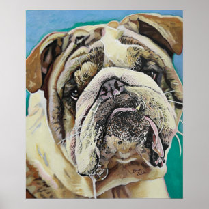 English Bull Dog Poster