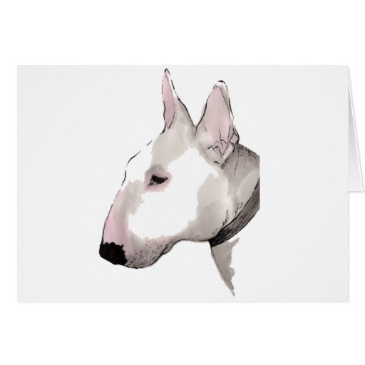 Image of English Bull Terrier