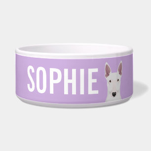 English Bull Terrier