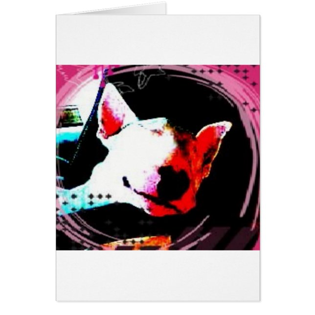 english bull terrier (Front)