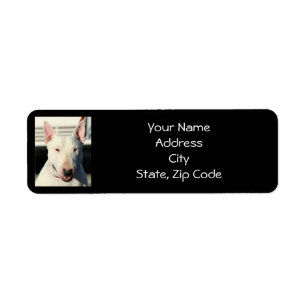 English Bull Terrier Address Labels