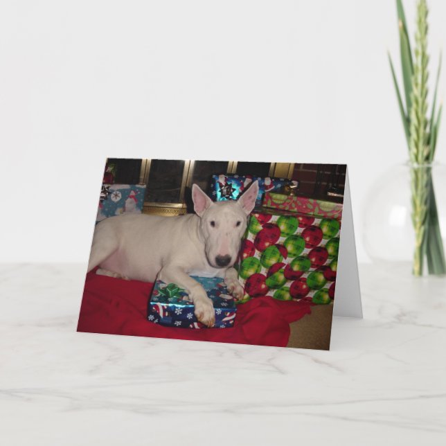 english bull terrier christmas present fireplace holiday card (Front)