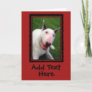 English Bull Terrier Custom Greeting Card