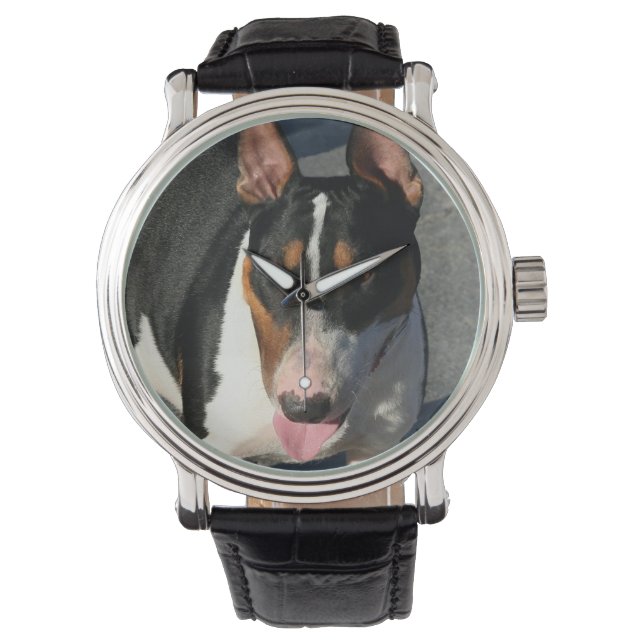 English bull terrier dog watch (Front)