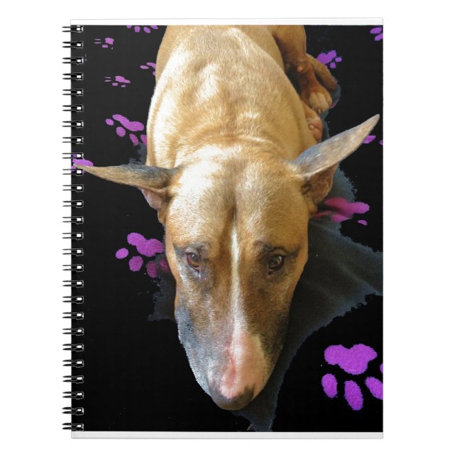 English Bull Terrier Notebook (Front)