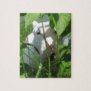 English Bull Terrier Peeking Through the Leaves Jigsaw Puzzle