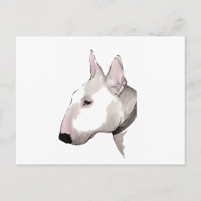 english bull terrier postcard (Front)