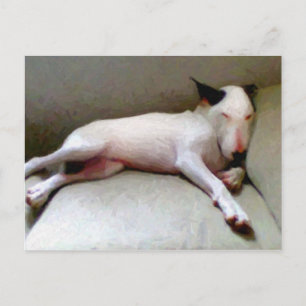 English Bull Terrier Postcard