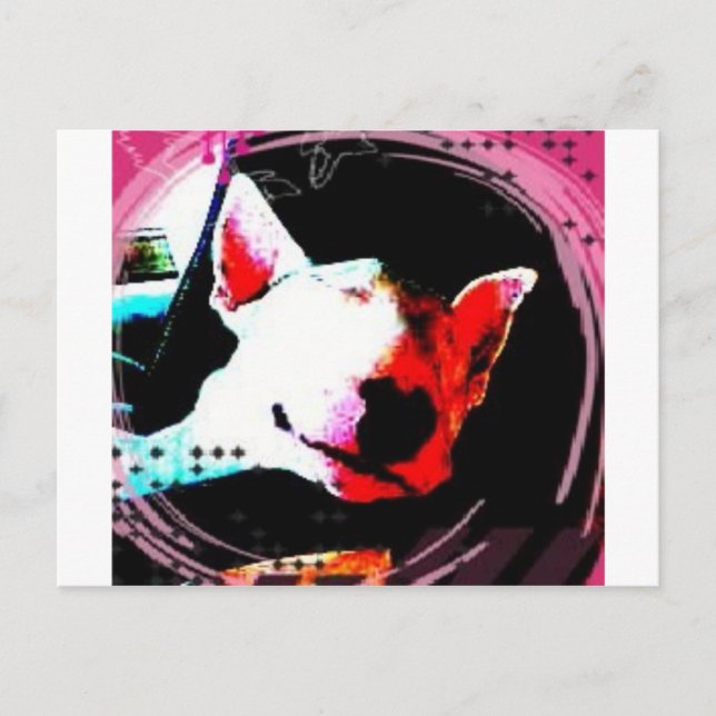 english bull terrier postcard (Front)