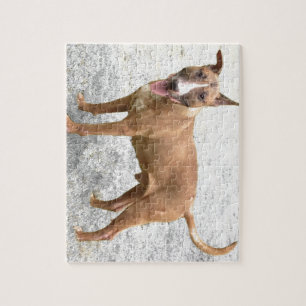 English Bull Terrier Puzzle