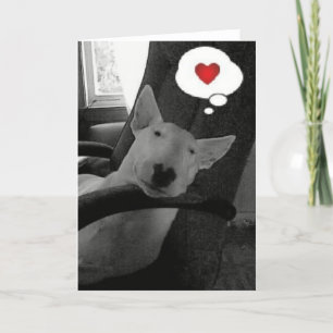english bull terrier valentine holiday card