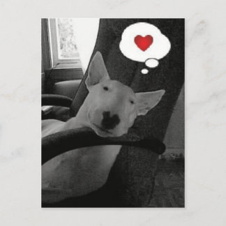 english bull terrier valentine holiday postcard