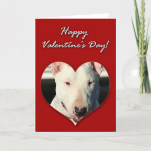 English Bull Terrier Valentines Day Card