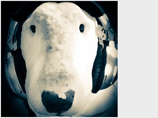 English Bull Terrier with Headphones