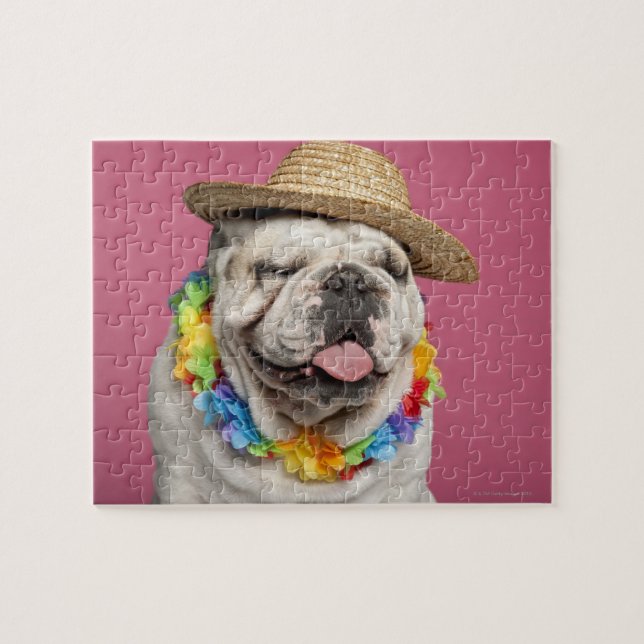 English Bulldog (18 months old) wearing a straw Jigsaw Puzzle (Horizontal)