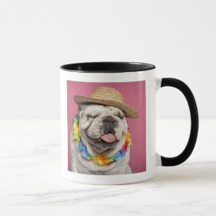English Bulldog (18 months old) wearing a straw Mug