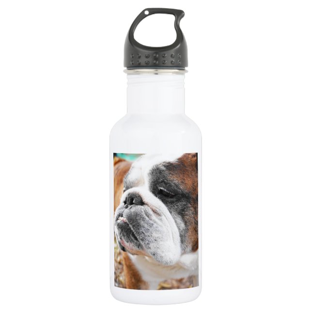 English Bulldog 532 Ml Water Bottle (Front)