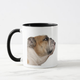 English Bulldog (6 years old) Mug