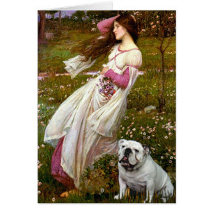 English Bulldog 9 - Windflowers
