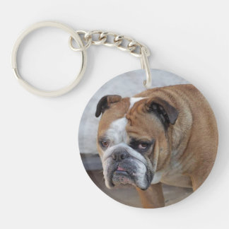 English Bulldog Acrylic Key Ring / Dog Keyring