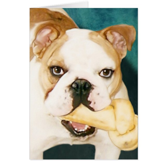 English Bulldog "Adagio" (Front)