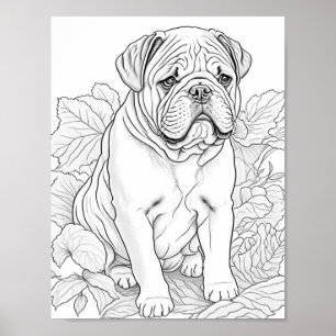 English Bulldog Adult Colouring Poster