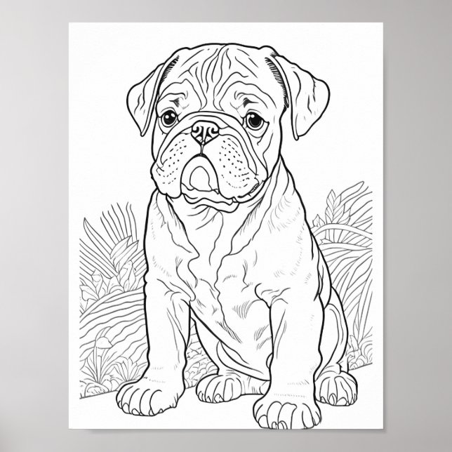 English Bulldog Adult Colouring Poster (Front)