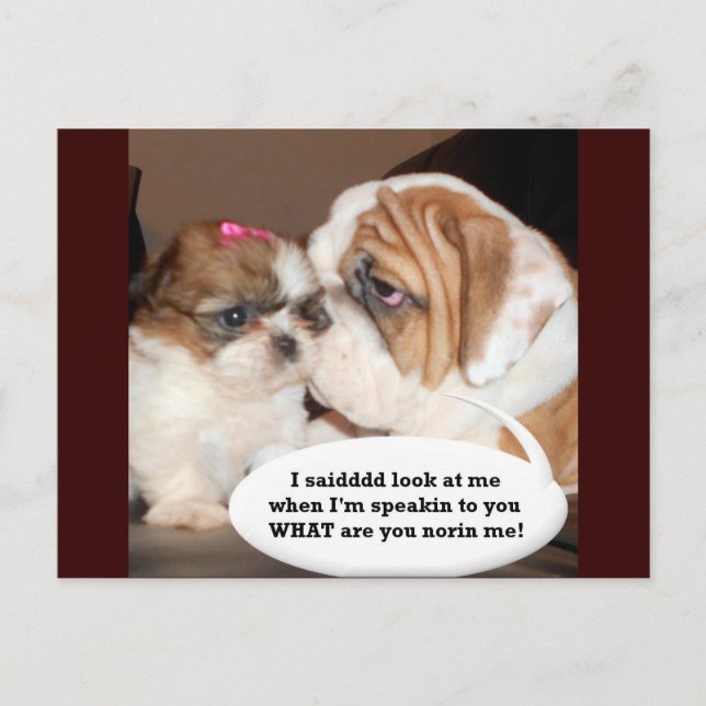 English Bulldog Attention! Postcard (Front)