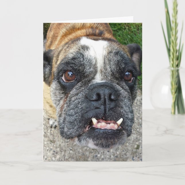 English Bulldog Birthday Card (Front)