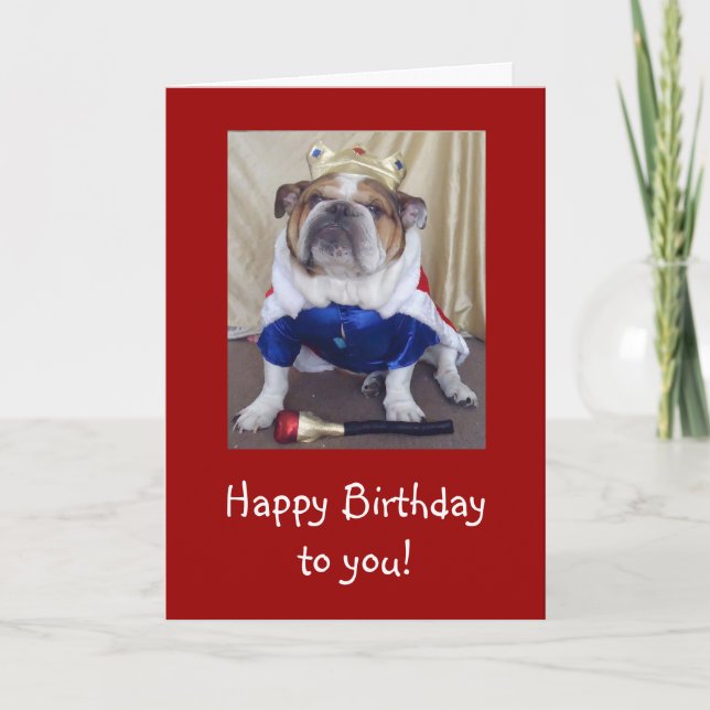 English Bulldog Birthday Card, Royalty Card (Front)