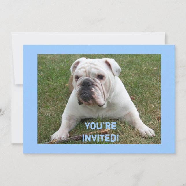 English Bulldog Birthday Invitations (Front)