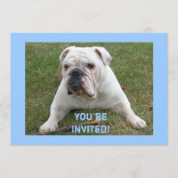 English Bulldog Birthday Invitations