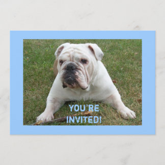 English Bulldog Birthday Invitations