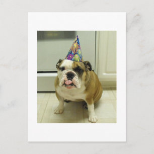 English Bulldog Birthday Postcard
