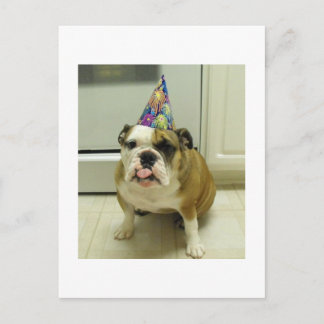 English Bulldog Birthday Postcard