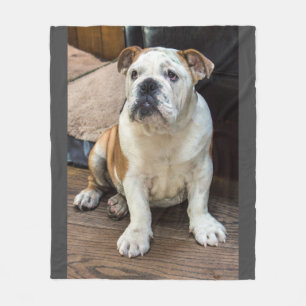 English Bulldog blanket