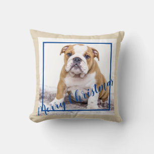 English Bulldog Blue Christmas Holiday Photo Cushion