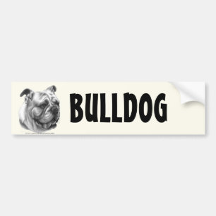 English Bulldog Bumper Sticker