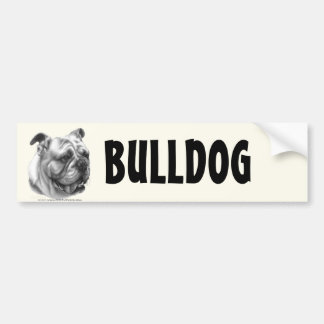 English Bulldog Bumper Sticker