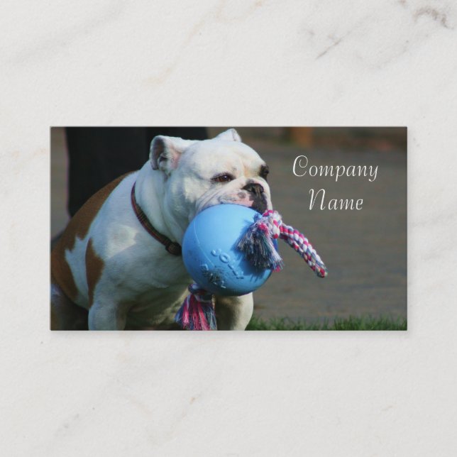English bulldog business cards (Front)