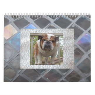 English Bulldog Calendar