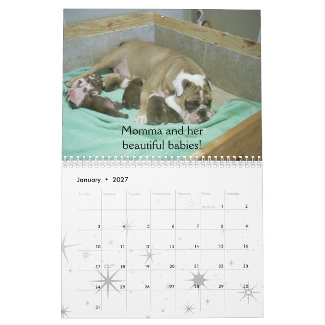 English Bulldog Calendar 2010 (Jan 2027)