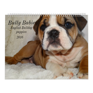 English Bulldog Calendar 2016