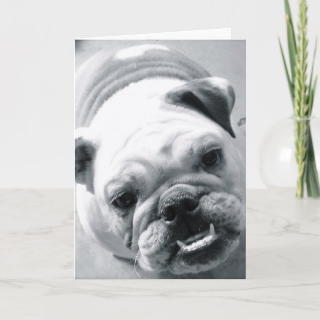 English Bulldog Card (Front)