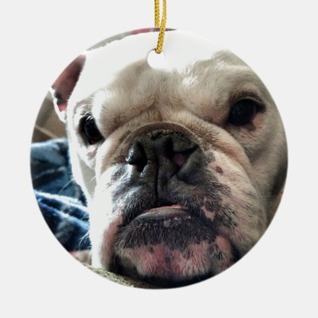 English Bulldog Ceramic Tree Decoration (Front)