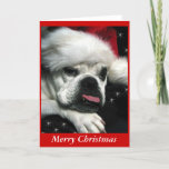 English Bulldog Christmas card. Holiday Card<br><div class="desc">Beautiful digital photo of a miniature old english bulldog. You can change the color of the background . Add your own personal message. Other bulldog Christmas products are available .</div>