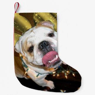 English bulldog Christmas stocking