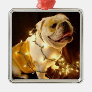 English bulldog Christmas tree ornament